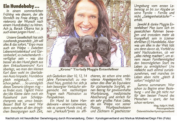 Ein Hundebaby&hellip;&hellip;&hellip;